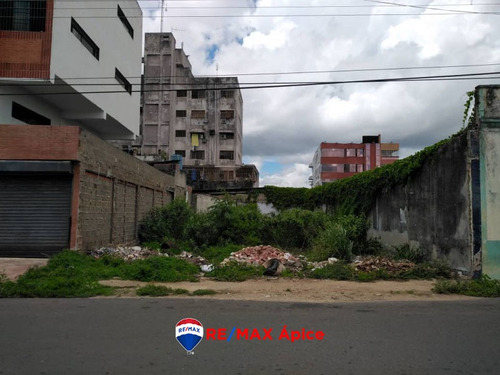 Imagen 2 de 5 de Se Vende Terreno En El Centro, Calle Carvajal