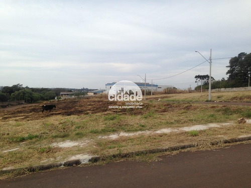 Imagem 4 de 11 de Terreno Em Condomínio À Venda, Jardim Maria Luiza - Cascavel/pr - 12054