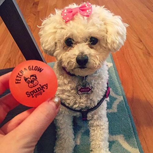 Spunky Pup Fetch Ball Small 2-pack, (variado) Color Variados