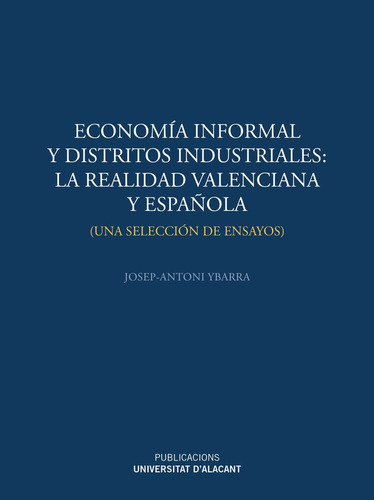 Economia Informal Y Distritos Industriales: La Realidad V...