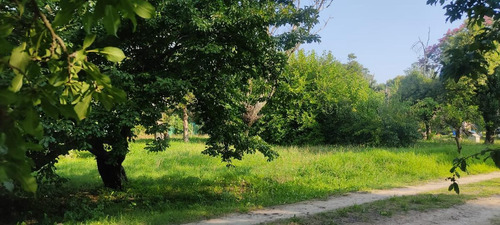 Imagen 9 de 15 de Terreno - La Reja Chica
