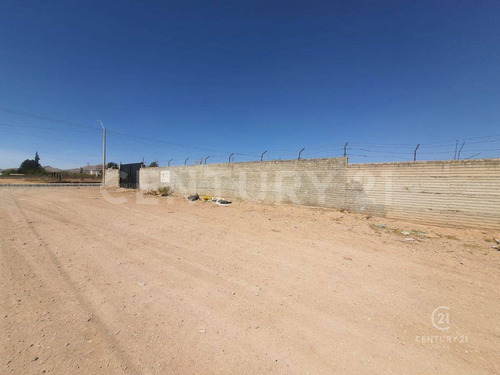 Terreno En Venta En Tabaloapa, Chihuahua Chih.