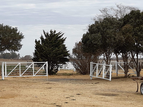 Imagen 15 de 23 de Campo En Venta De 102 Hectáreas Ubicado En General Deheza - Juárez Celman