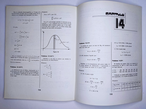 Libro Problemario De Termodinamica Clasica Scherer 191c2 (Usado)