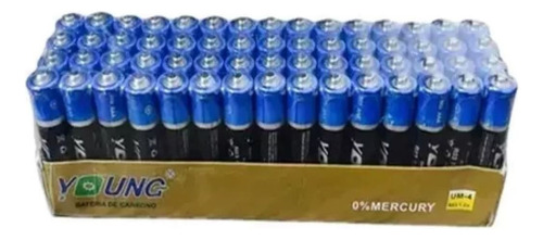 Paquete Con 60 Pilas Baterias D Carbon Triple Aaa Power 1.5v