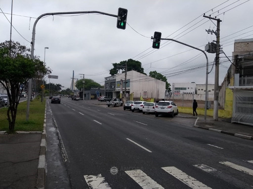 Imagem 8 de 8 de Terreno Comercial 1500 M² - Centro - 4046-2