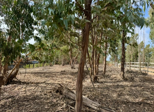 El Boldo, Sector El Medano, Maitencillo