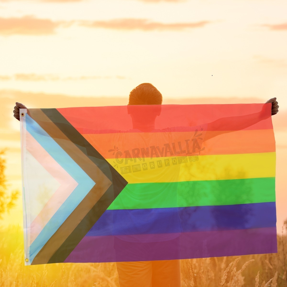 Bandera Progresista Lgbt Progess Pride Orgullo Gay Arcoíris Mercadolibre