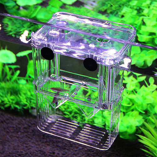 . Caja De Aislamiento De Peces 4 Piezas