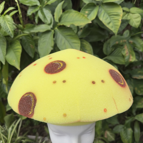 Gorro De Hongo Cotillon Disfraces Fiestas En Goma Espuma