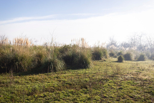 Campo En Venta En Pilar. Zona Champagnat