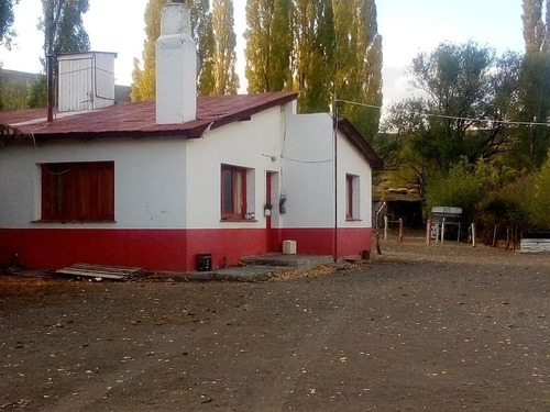 Campo - Tecka
