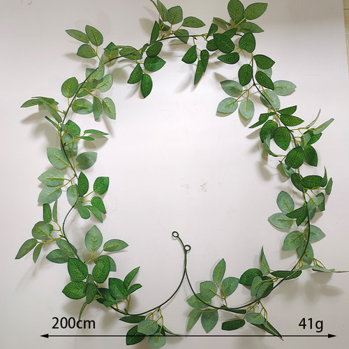 Enredadera De Flor De Ratán De Hoja De Rosa De Navidad