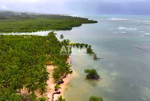 3,077 Tareas En Samana Entre Las Galeras Y El Limon