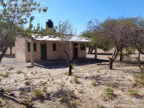 Campo En Venta De 300 Has Santa Maria, Catamarca