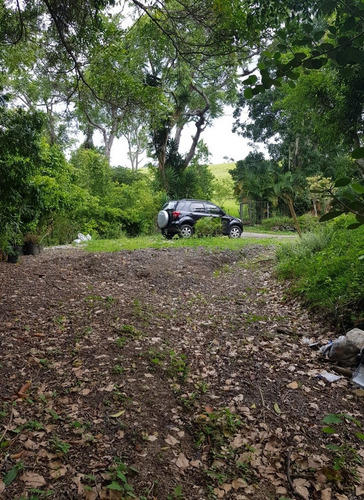 Imagen 11 de 18 de Granja En Peribeca 1.4 Ha