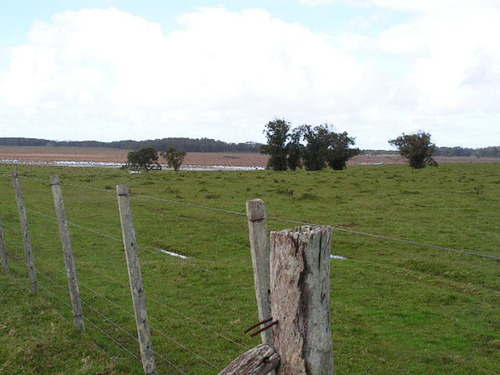 Campo Con Costa Oceánica Ref. 1562 (ref: Cbr-1190)