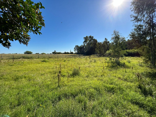 Venta De Chacra Riachuelo