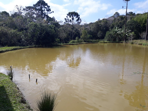 Imagem 7 de 14 de Terreno Com Lago Para Formação De Chácara