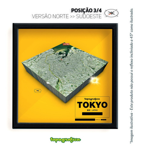 Tóquio (japão) - Mapa 3d Infograf - 1 Quadro 20x20cm