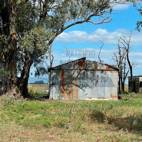 Se Venden 78 Hectáreas De Campo En Saladillo.