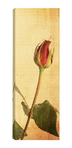 Imagem 4 de 5 de Par De Quadros Tela Pintura Floral Vermelho 20x60 R1