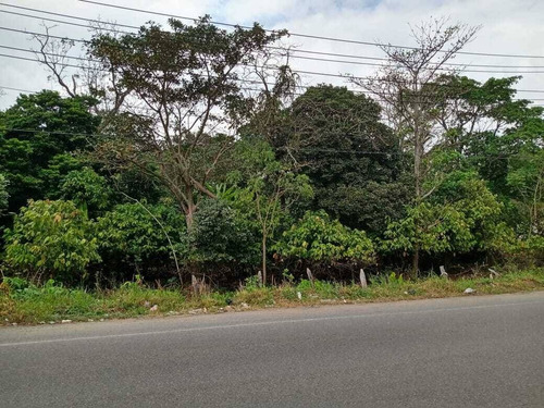 Imagen 1 de 2 de Residencial Terreno En Venta