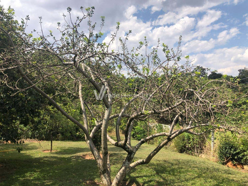 Chácara À Venda Em Chácaras São Martinho - Ch284677