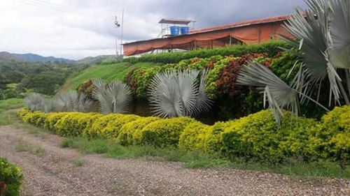 Venta De Finca Productiva En San Juan De Los Morros, Guarico - Inmobiliaria Maggi 501.