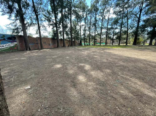 Imagen 3 de 5 de Terrenos En Venta En Francisco Alvarez
