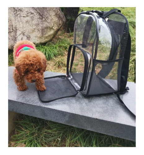 Imagen 3 de 9 de Mochila Bolso Transportadora Para Gato Perro Transparente L