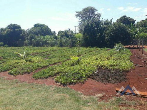 Chácara À Venda, 1350 M² Por R$ 120.000,00 - Centro - Alvorada Do Sul/pr - Ch0174