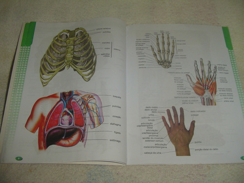 Atlas Anatomia Do Estudante - Sistema - Funções - Orgãos