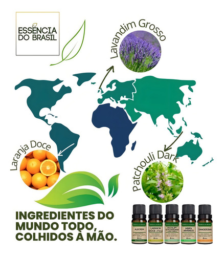 Kit 2 Óleos Essenciais Lavandin Grosso Roll On 10ml - Puro