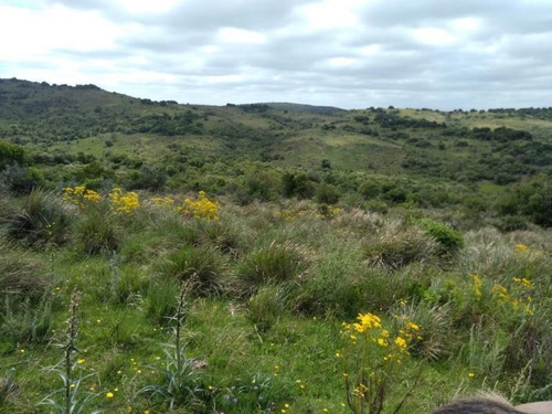 Campo En Venta
