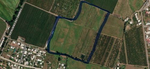 Vendo Predio Agrícola Curicó, Sector Los Cristales
