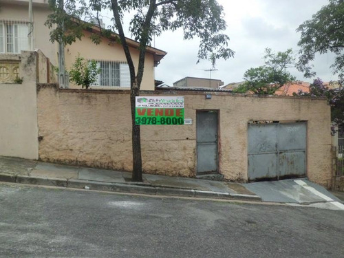 Terreno Para Venda, 0.0 M2, Vila Palmeiras - São Paulo - 1203