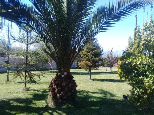 Venta Parcela Centro Eventos / Habitacional Paine Acceso Sur