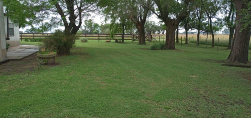 Campo En Venta En Saladillo