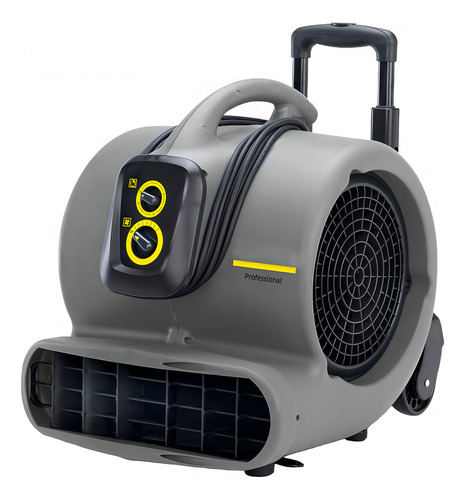 Ab84 Ventilador Kärcher® P/ Secado De Alfombras Y Vestiduras Color De La Estructura Gris Antracita Color De Las Aspas Negro Frecuencia 60 Hz Material De Las Aspas Plástico