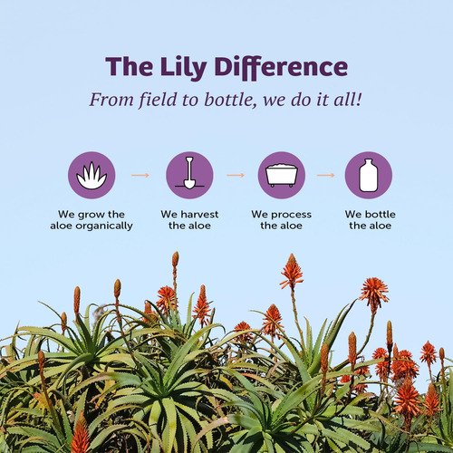 Pack Of 2 X Lily Of The Desert Aloe Vera Gel Inner Fillet -