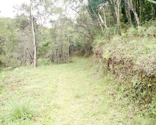 Imagem 4 de 13 de Sitio Em Juquitiba, Sitio À Venda Em Juquitiba - 09 - 32982811