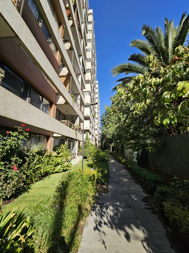 Dr Johow / Edo Castillo Velasco / Metro Chile España