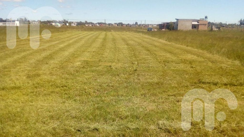 Imagen 13 de 19 de Terreno - La Plata