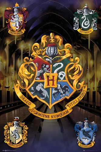 Póster Casas Hogwarts Harry Potter Autoadhesivo 100x70cm#951