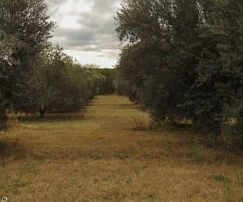 Casa 3 Dormitorios En Villa De Las Rosas Traslasierra (058)