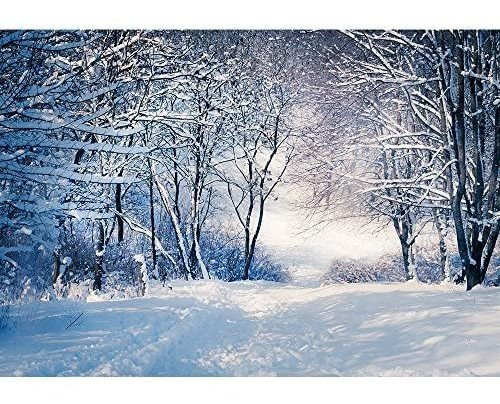 Imagen 8 de 9 de Paneles Wall26 - Paisaje De Invierno En El Bosque Nevado. A