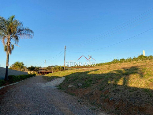 Imagem 8 de 22 de Chácara À Venda, 26400 M² Por R$ 2.500.000,00 - Reforma Agrária - Valinhos/sp - Ch0043
