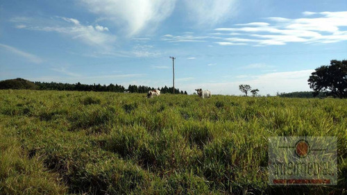 Imagem 14 de 19 de Fazenda Rural À Venda. - Fa0009