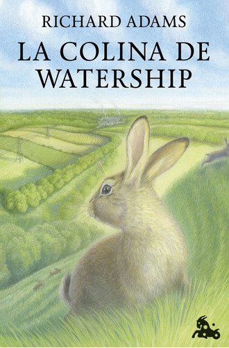 Libro La Colina De Watership - Richard Adams